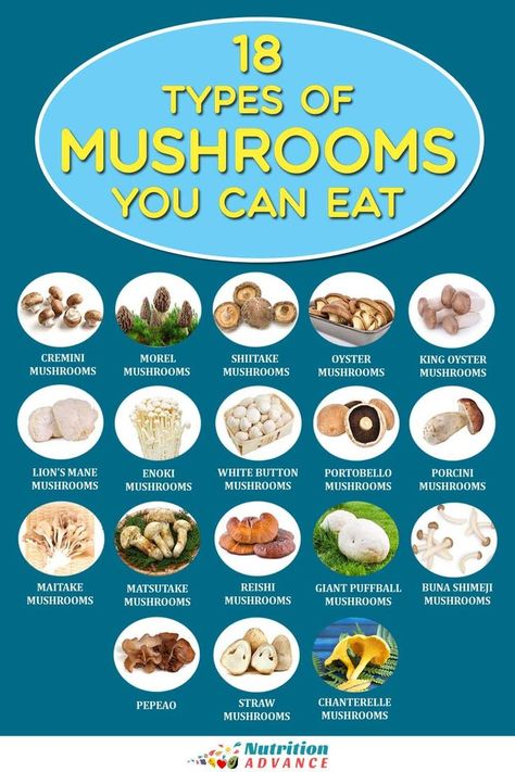 18 Types of Mushrooms You Can Eat #medicinal #mushrooms Chaga Mushroom Benefits, Wild Mushroom Recipes, Types Of Mushrooms, Edible Fungi, Mushroom Identification, Mushroom Varieties, Mushroom Benefits, Mushroom Dish, Edible Mushrooms