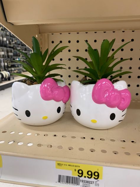 Hello Kitty Plant, Plants For Desk, Shelf Home Decor, Hello Kitty Face, Hello Kitty Bedroom, Hello Kitty Videos, Small Flower Pots, Miss Kitty, Hello Kitty Birthday