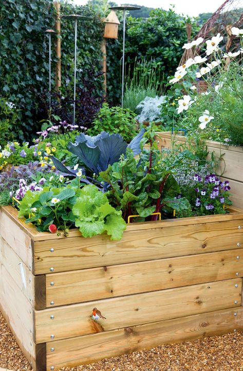 City Garden Ideas, Backyard Seating Ideas, Small Vegetable Garden Ideas, Small Vegetable Garden, Creative Backyard, Vegetable Garden Ideas, Vertical Vegetable Garden, Planting Tips, Small Vegetable Gardens