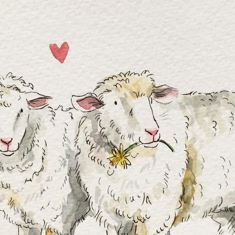 Danielle Hooi on Instagram: "Today is Dydd Santes Dwynwen the Welsh Valentines Day - to celebrate Dwynwen the welsh saint of lovers. Hope you spend some time with a special someone today 💕 • • • #sheepofinstagram #dyddsantesdwynwen #kidlitillustration #watercolourillustration #showyourwork #createeveryday #creativehappylife #kidlitart #childrensbookillustration #childrenillustrator #bookillustration #drawingaday #illo #welsh #farmanimals #waketomake #childrensbook #kidsillustration #farmlife #farmhousedecor #lambing #lambingseason #cardifflife #cardifflifemagazine" Cute Sheep Art, Abigail Core, Lamb Illustration, Welsh Art, Studio Corner, Sheep Illustration, Field Journal, Funny Sheep, Sheep Art