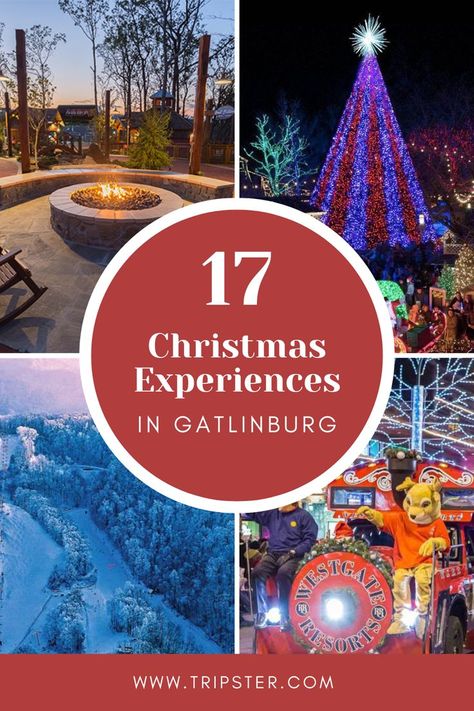 This Pinterest post features four festive images related to Christmas in Gatlinburg. The top left image shows a cozy outdoor fire pit. The top right image displays a brightly lit Christmas tree adorned with colorful lights in a nighttime setting. The bottom left image captures a snowy scene with a ski slope, and the bottom right image depicts a festive holiday parade with a mascot on a decorated float. The central text reads, "17 Christmas Experiences in Gatlinburg" and "Tripster.com." Christmas Gatlinburg Tn, Gatlinburg Tennessee At Christmas, Gatlinburg Christmas Vacation, Winter In Gatlinburg Tennessee, Anakeesta Gatlinburg At Christmas, Gatlinburg In December, Christmas In Gatlinburg Tn, Gatlinburg At Christmas, Gatlinburg December