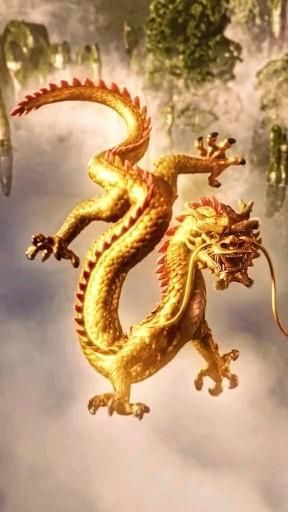 Pin on Gambar bergerak Dragon Video, Dragon Wallpaper Iphone, Yin Yang Tattoos, Dragon Artwork Fantasy, Dragon Images, Golden Dragon, Dragon Illustration, Live Wallpaper Iphone, Dragon Pictures