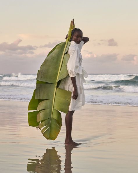 Tropical Fashion, Beach Images, Beach Shoot, Beach Photoshoot, Photoshoot Inspo, Banana Leaf, 인물 사진, Fashion Shoot, Photography Inspo