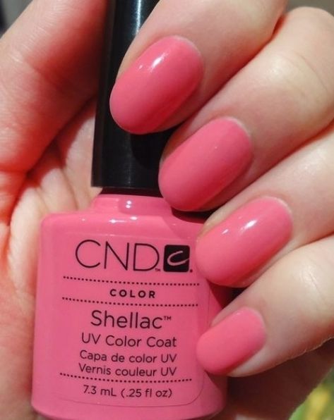 CND Shellac Gotcha | Schellack nägel, Cnd nägel und Cnd ... #nagelfarben #nagel Shellac Colours, Cnd Shellac Colors, Manicure Shellac, Shellac Nail Colors, Shellac Nail Polish, Cnd Shellac Nails, Nails Shape, Shellac Colors, Cnd Nails