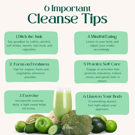 Did you know these 6 super important things cleanse tips? Starting a cleanse at the beginning of each season is a fantastic way to rejuvenate your body and mind! Our summer cleanse guide is here to help you with the right recipes, juicers to use, and essential tips on staying hydrated, exercising, and self-care during a cleanse. Download it now and kickstart your wellness journey! Link in bio. Juice Cleanse Benefits, Staying Hydrated, Wellness Journey, Organic Fruit, Juice Cleanse, Body And Mind, Mindful Eating, Juicer, The Beginning