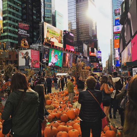 Nyc Halloween Aesthetic, New York In October, New York In November Aesthetic, Fall New York, New York Halloween, Fall In New York, New York City In October, Nyc Halloween, Halloween Nyc Aesthetic