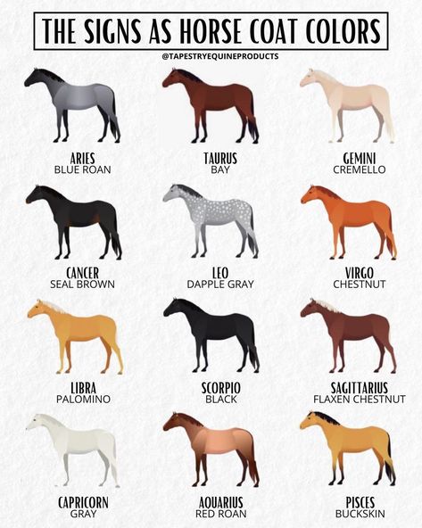 Tapestry Equine Products Inc. on Instagram: “Did we accurately guess your favorite horse coat color based on your astrology sign? 💕 Comment and let us know! Don’t forget to tag your…” Horse Zodiac, Horse Coat Colors, Blue Roan, Leo And Virgo, 3 Friends, Taurus And Gemini, Horse Love, Astrology Signs, Horse Riding