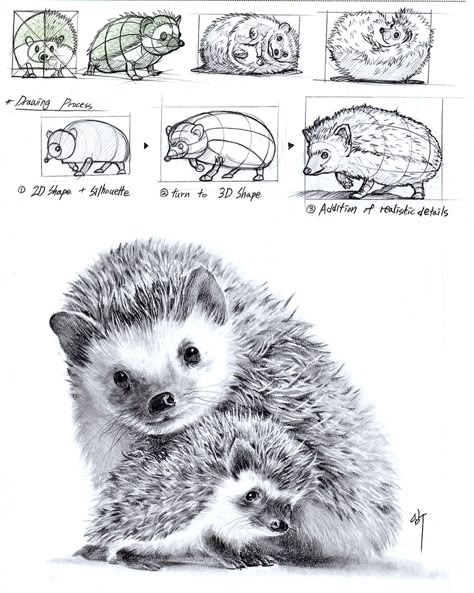 [실시간시범]고슴도치 그리는 법🦔How to draw hedgehog🦔 갑자기 고슴도치? 기출소재는 아니지만 귀여운 조카의 요청으로 그려보았습니다🤣 처음 그려보는 물체는 그릴 때 덜컥 겁이 나기 쉬운데요, 그럴때 제가 쓰는 꿀팁이 있습니다 : 1단계: 2차원 도형으로 실루엣 잡기 2단계: 실루엣 유지하면서 입체 도형으로 만들기 3단계 : 질감과 디테일 추가하기‘입니다.(*완성작 그림 참고) 결국 모든 물체는 도형으로 단순화시키면 쉽게 시작할 수있습니다. 겁먹지말고 시범작을 참고해서 한 번 그려보세요! [Live Demonstration] How to Draw a Hedgehog 🦔 Suddenly a hedgehog? It’s not a common subject, but I drew it at the request of my cute niece 🤣 When drawing something for the first time, it’s easy to fe... Hedgehog Pencil Drawing, Hedgehog Drawing Reference, How To Draw Hedgehog, Draw Hedgehog, Cute Hedgehog Drawing, Draw A Hedgehog, Drawing Hedgehog, Hedgehog Painting, Hedgehog Drawing