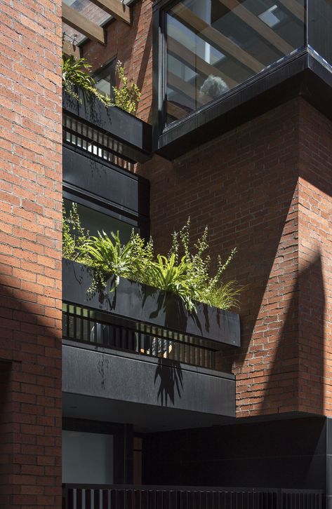 Apartment Building With Courtyard, Residential Apartment Facade, Green Residential Building, Modern Brick Apartment Building, Wooden Facade Apartment Building, Brick Apartment, New Zealand Architecture, Apartments Exterior, Mews House