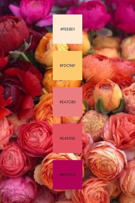 Flower Colour Scheme, Bohemian Colors Scheme, Magenta Color Palette Wedding, Mother’s Day Color Palette 2024, Sangria Color Palette, Summer Flower Color Palette, Flower Pallete Color, August Color Palette, Flower Colour Palette