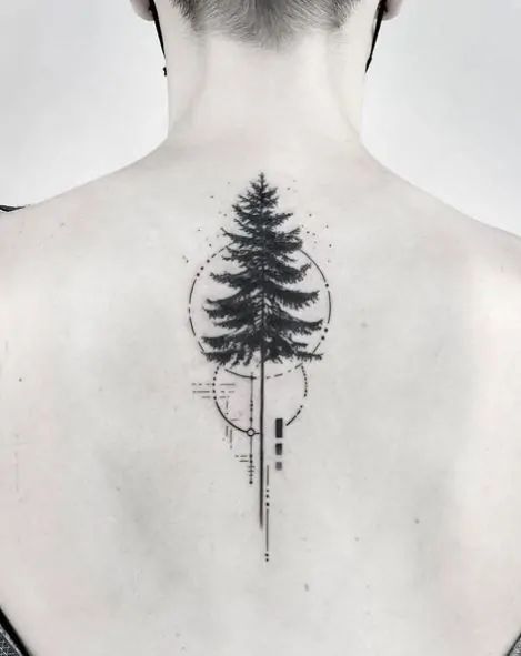 The Pine Tree Tattoo Meaning And 105 Powerful Tattoos To Compel You Single Tree Tattoo, Christmas Tree Tattoo Ideas, Tree Birds Tattoo, Blue Spruce Tattoo, Tree Moon Tattoo, White Pine Tree Tattoo, Tree Skull Tattoo, Fine Line Pine Tree Tattoo, Forest Tree Tattoo