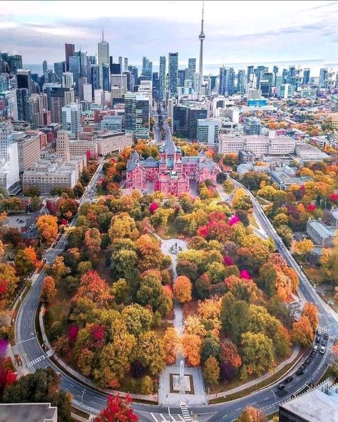 Toronto Street Photography, Toronto Fall, Toronto Street, Toronto Zoo, Toronto City, O Canada, Toronto Life, Downtown Toronto, Wonderful Picture