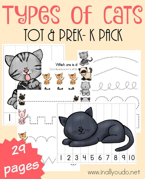 If you have a cat lover in your home, don't miss this ADORABLE Types of Cats Tot & PreK-K Pack perfect for your little learners. :: www.inallyoudo.net Preschool Pets Unit, Cats Clipart, Preschool Tracing, Cat With Blue Eyes, Pre K Activities, Types Of Cats, Preschool Lesson Plans, Emergent Readers, Tot School