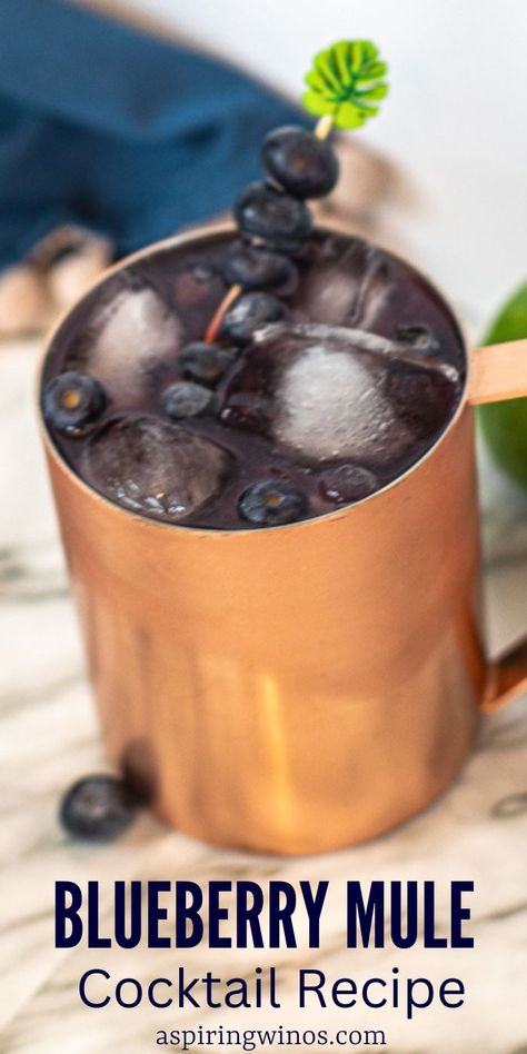 Blueberry Mule Cocktail: A Unique Twist on a Classic | Moscow Mule recipes you need to try | Blueberry cocktail recipe | Copper mug drink recipes | Summer drink recipes for everyone #Blueberry #MoscowMule #BlueberryMuleCocktail #Cocktail #CocktailRecipe #Vodka #VodkaRecipes Blueberry Mule Cocktail, Mule Mocktails, Copper Mug Drinks, Blueberry Mule, Blueberry Moscow Mule, Moscow Mule Recipe Classic, Moscow Mule Recipes, Mule Drink, Blueberry Cocktail