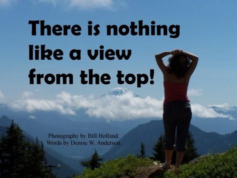 View From The Top Quotes, Top Of The World Quotes, The World Quotes, Flower Quotes Inspirational, Climbing A Mountain, On Top Of The World, World Quotes, Top Quotes, Flower Quotes