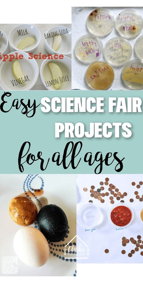 Easy Science Fair Project Ideas for All Ages (And Picking the Perfect Project) 2024 - Clarks Condensed Science Fair Projects For 2nd Grade, Useful Science Projects, Easy Science Fair Ideas, Easy Science Fair Projects For 3rd Grade, Science Fair 2nd Grade Project Ideas, Science Fair 1st Grade Project Ideas, Science Fair Projects For Kindergarten, Science Fair Projects For 1st Grade, Elementary School Science Project Ideas