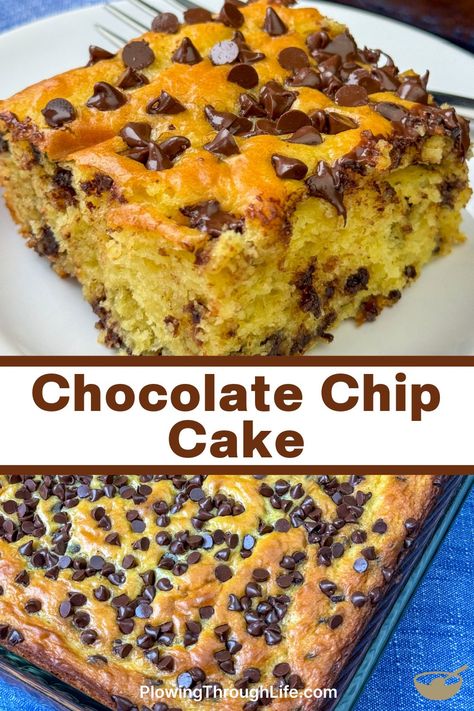 The chocolate chips pair with the buttery flavor of this yellow cake mix to make an irresistible cake. Our Chocolate Chip Cake recipe is popular with teenagers and family members of all ages on any occasion! No frosting necessary, just grab a bite of this easy cake a your craving will be satisfied with the snack or dessert. Chocolate Chip Cake With Box Cake, Yellow Cake Mix Chocolate Chip Cookies, Yellow Cake With Chocolate Chips, No Frosting Cake Ideas, Easy Yellow Cake Mix Recipes, One Bowl Cake Recipes, Chocolate Chip Dump Cake, No Frosting Cake, Cake Recipe Using Self Rising Flour