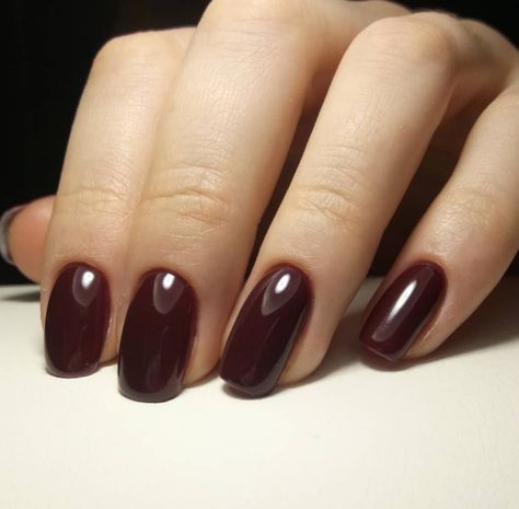 Vamp is a dark burgundy red. Award Winning Gel Polish! This incredible 100% pure colored gel is created by Akzentz amazing team of chemists to be completely solvent free, long lasting and easily applied! This unique formula provides numerous benefits: Easy Application - The product is not runny so it stays where you apply it. Odor Free - Absolutely NO smell. Does not smell like nail polish, since it is polish free. Flexibility and Strength - Typical gel polish made with polish in it will chip th Muted Red Nails, Dark Wine Nails, Midnight Paris, Character Customization, Wine Nails, Maroon Nails, Wow Nails, Nail Shimmer, Butterfly Nail Art