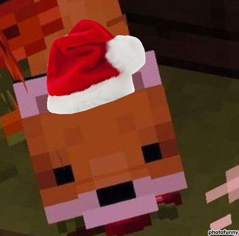 minecraft foc christmas pfp Cute Fox Pfp, Fox Minecraft, Christmas Pfp Aesthetic, Xmas Pfp, Fox Pfp, Minecraft Pfp, Pfp Christmas, Christmas Pfp, Fox Christmas