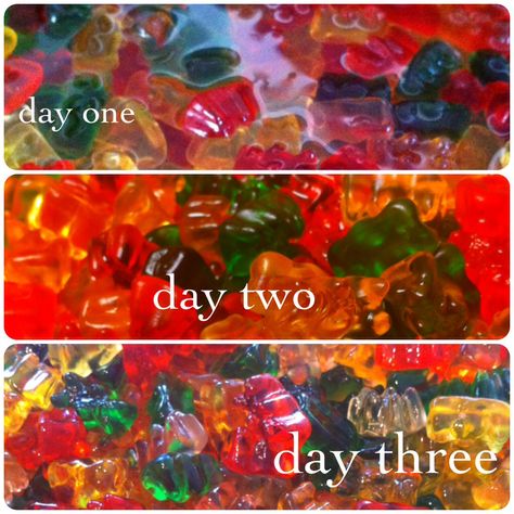 Drunken Gummy Bears.. 3 days soaking in vodka! (Could do with gummy worms and spiders..... more halloween-y than bears) also... it's kind of the same idea as jello shots Drunken Gummy Bears, Float Trip, Gummy Worms, Jello Shots, Adult Drinks, Party Drinks, Gummy Bears, Mixed Drinks, Summer Drinks