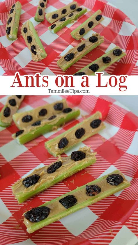 How to make Ants on a Log classic snack for kids of all ages! The perfect combination of celery, peanut butter, and raisins or chocolate chips. Ants On A Log Craft, Celery Peanut Butter, Ants On A Log, Spicy Nuts, Picnic Activities, Raisin Recipes, Snack For Kids, Pink Desserts, Bear Picnic