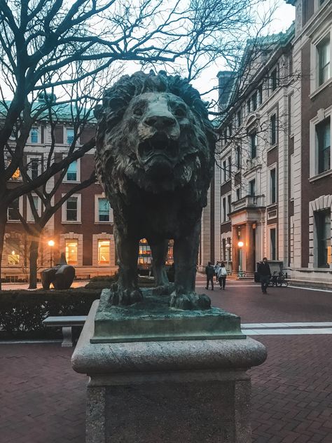 Columbia University Campus, Columbia University Aesthetic Wallpaper, Scales Aesthetic, Columbia University Aesthetic, Columbia Aesthetic, Columbia Campus, Columbia Uni, Columbia Law School, University Students Life