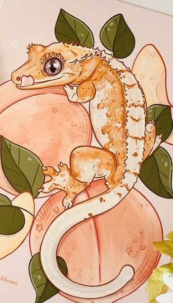 Gecko Tattoo, Alice In Wonderland Crafts, Cute Gecko, Cute Lizard, Cute Reptiles, Crested Gecko, Cute Animal Drawings Kawaii, Cute Little Drawings, Cute Animal Drawings