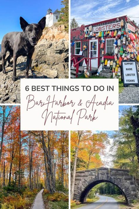 6 Best Things to Do in Bar Harbor and Acadia National Park — Road Trip Locals Girls Trip Destinations, Acadia Maine, Maine Road Trip, New England Road Trip, East Coast Travel, Bar Harbor Maine, Park Restaurant, Maine Vacation, Maine Travel