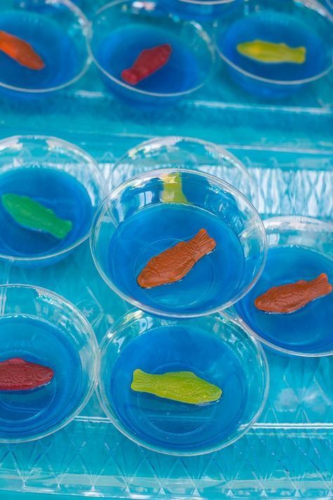 Jello cups, homemade crayons, fruit tray, treasure hunt, and more. Under the Sea birthday party Jello Fish Cups, Fish Jello Cups, Mermaid Jello Cups, Under The Sea Jello, Under The Sea Snacks, Gummy Fish, Bear Food, Jello Cups, Blue Jello