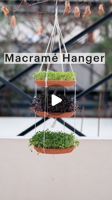 OmVed Gardens on Instagram: "Make your own Macramé plant hanger - all you need is string!   Here’s how:  1️⃣ Grab 35 metres of string 2️⃣ Cut different lengths of string 2M, 2.5M and 3 metres. You’ll need 4 of each length.  3️⃣ Gather your strings and tie a looped knot at the top - repeat for each size. 4️⃣ Tie knots in the strings and repeat 5️⃣ Carefully place your bowl inside and repeat the steps for reach layer.  Now you have a beautiful macrame plant hanger - check out our last Reel for the tutorial to make your own microgreens.  #omvedgardens #diyplanter #macrame #naturecrafts #microgreens #verticalgarden" How To Tie A Plant Hanger, Macrame Bowl Hanger, Triple Macrame Plant Hanger, 8 String Macrame Plant Hanger, 3 Tier Macrame Plant Hanger, Two Tier Macrame Plant Hanger, Macrame Plant Hanger Multiple Plants, Money Savings, Macrame Hanger