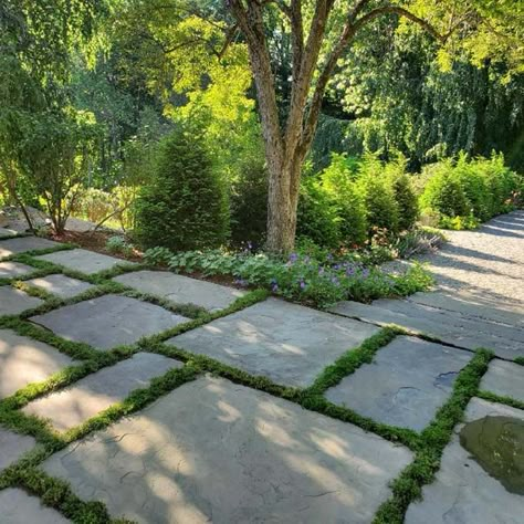 Reclaimed Stone Patios and Pathways | Stone Farm Reclaimed Stone Patio, Bluestone Walkway, Stone Pathways, Stone Patios, Moss Grass, Backyard Walkway, Rustic Homes, Bluestone Patio, Outdoor Path