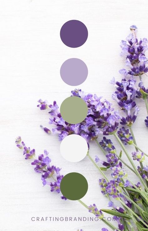 Black White Lavender Color Palette, Purple And White Colour Palette, Lavender Colour Pallete, Wedding Colour Schemes Purple, Lavender Palette Colour Schemes, Lavender Sage Bedroom, Lilac Mood Board Aesthetic, Purple Sage Color Palette, Lilac And Sage Color Palette