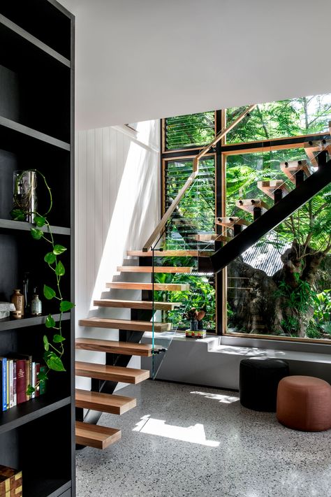 Poinciana Tree, Staircase Window, Brisbane Architects, Stairs Window, Open Stairs, Glass Stairs, Open Staircase, Concrete Stairs, Modern Extension