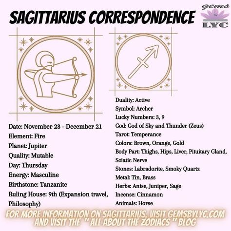 Astrology 101, Zodiac Sign Sagittarius, Astrology Planets, Zodiac Signs Sagittarius, Astrology Numerology, Sagittarius Zodiac, Astrology Art, 12 Signs, Astrology Chart