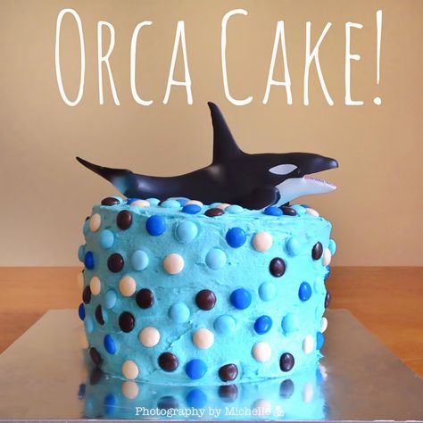 Photography by Michelle: William's Orca Cake Orca Cake, Boy Cake Smash Ideas, Cake Birthday Boy, Whale Birthday Cake, Cake Smash Ideas, Cake Bday, Whale Party, Whale Crafts, Whale Birthday