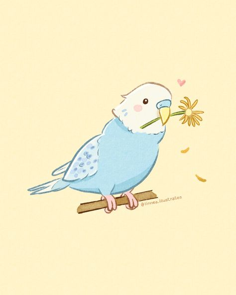 budgie bird illustration drawing Budgie Drawing Cute, Budgie Wallpaper, Budgie Drawing, Budgie Illustration, Baby Animal Painting, Cute Parrot, Drawing Bird, Beginner Artist, Cute Images For Wallpaper