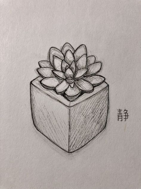 Succulents Drawing, Charcoal Drawings, Easy Doodles Drawings, Easy Drawings Sketches, Arte Inspo, Doodle Art Designs, Mini Drawings, Art Drawings Sketches Creative, Hand Art Drawing