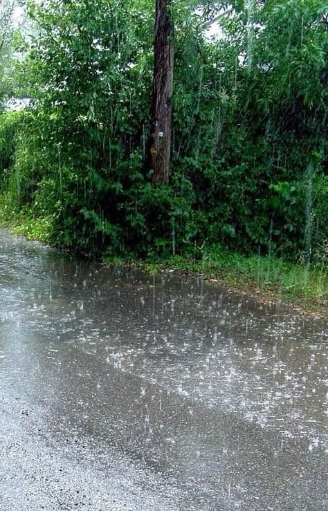 Rainy Day Photography, Green Academia, Marguerite Duras, Smell Of Rain, Rainy Day Aesthetic, I Love Rain, Rain Wallpapers, Rain Storm, Love Rain