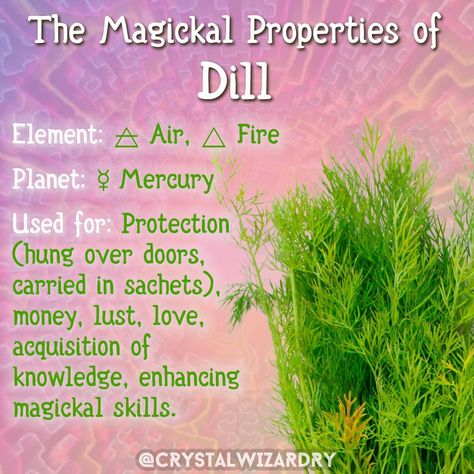 Chives Magical Properties, Garlic Magical Properties, Plant Symbolism, Garlic Chives, Witch Garden, Magic Herbs, Hedge Witch, Wiccan Spell Book, Witch Spell Book