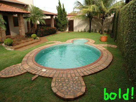 Turtle pool Turtle Pool, Turtle Things, Turtle Accessories, Ponds Ideas, Turtle Diy, Turtle Stuff, Turtle Homes, Backyard Designs, Turtle Decor