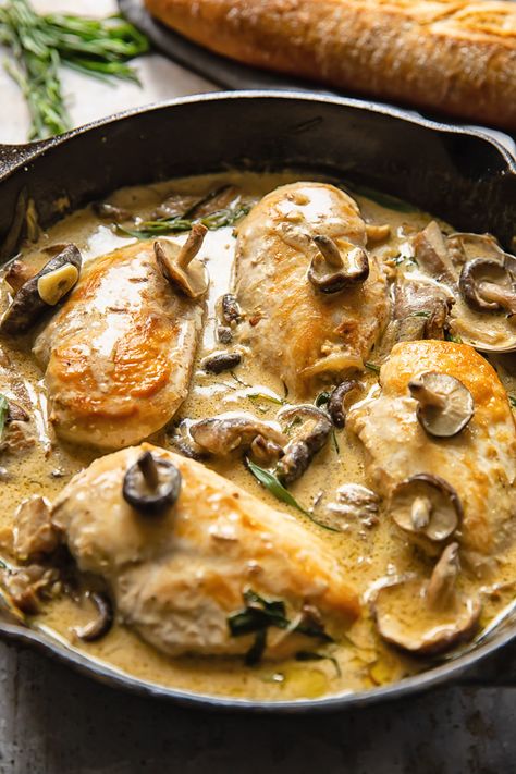 Recipe With Chicken Breast, French Chicken Recipes, Coq Au Vin Recipe, White Wine Chicken, Recipe With Chicken, Creamy Mushroom Chicken, Chicken Fricassee, Breaded Chicken Cutlets, Recipe Using Chicken