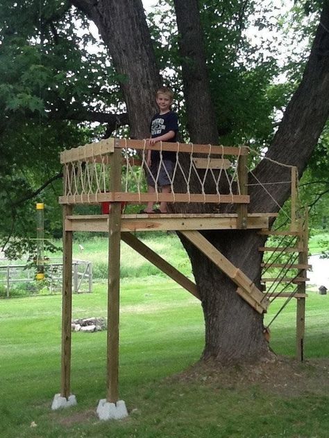 Build A Tree House, Diy Tree House, Simple Tree House, Tree Deck, Tree House Ideas, Treehouse Ideas, Beautiful Tree Houses, Tree House Plans, Tree Fort