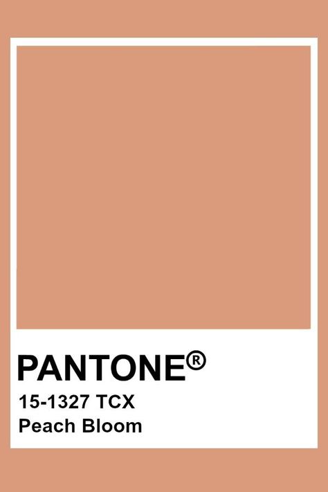 Pantone Peach Bloom Dusty Peach Color, Pastel Color Pantone, Pastel Pantone, Pantone Tcx, Pantone Color Chart, Pantone Swatches, Pantone 2020, Pantone Palette, Pantone Colour Palettes