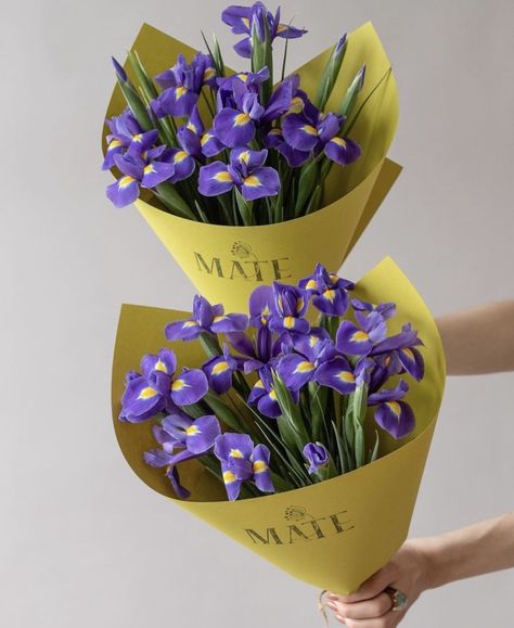 Iris Flowers Bouquet, Bouquet Of Violets, Purple Iris Flowers, Iris Bouquet, Single Flower Bouquet, Purple Wedding Decorations, Viola Flower, Yellow Bouquets, Lavender Bouquet