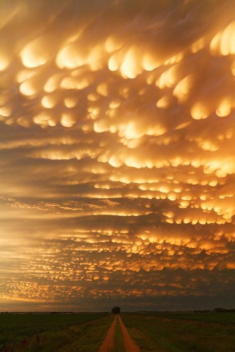 Mammatus Clouds, Wild Weather, Natural Phenomena, Sky And Clouds, Beautiful Sky, Tornado, Amazing Nature, Beautiful World, Mother Nature