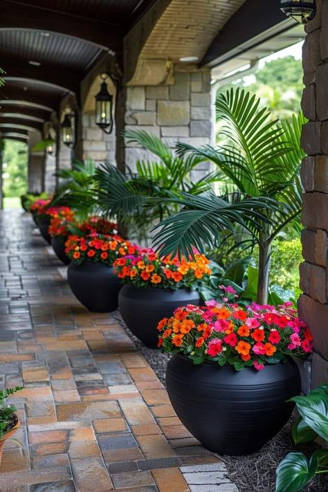 نباتات منزلية, Potted Plants Outdoor, Front Yard Garden Design, Patio Garden Design, Outdoor Gardens Design, Garden Yard Ideas, Front Yard Garden, Garden Landscape Design, Container Garden