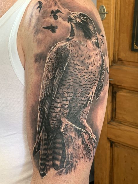 215+ Hawk Tattoos Ideas and Designs (2023) - TattoosBoyGirl Falcon Tattoos For Men, Peregrine Falcon Tattoo Design, Falcon Tattoo Men, Peregrine Tattoo, Hawk Reference, Falcon Tattoo Design, Peregrine Falcon Tattoo, Hawk Tattoo Design, Griffon Tattoo