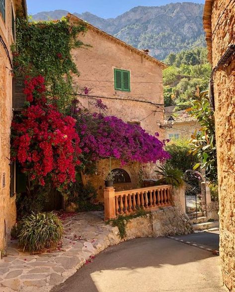 Mallorca | Palma | Travel | Spain on Instagram: "Some sort of heaven 🌸🌼🌺 Deià 📍 via @lynneharkes" Deia Mallorca, Travel Spain, Vacation Places, Spain Travel, Pretty Places, Climbing, Spain, Travel, On Instagram