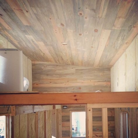 Bettle kill blue stained pine ceiling. So pretty! Stained Pine Ceiling, Knotty Pine Ceiling, Woodworking Outdoor Furniture, Knotty Pine Doors, Pine Ceiling, Beetle Kill Pine, Pine Interior, Pine Trim, Tongue And Groove Panelling