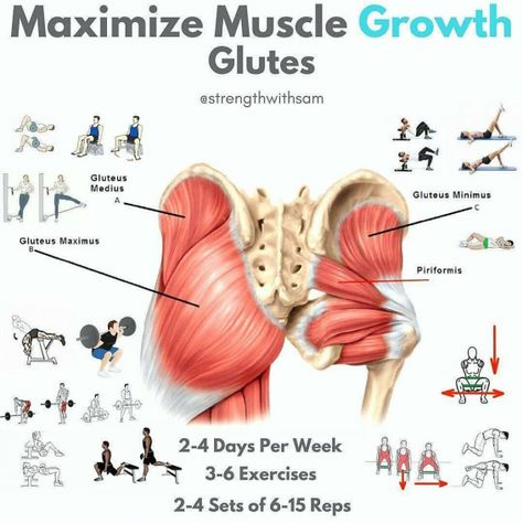 Do the muscle growth glutesexercises as shown in the picture for the most effective result! #Mobilityexercises Flute Exercises, Glutes Exercises, Glute Growth, Stomach Exercises, Human Movement, Motivation Pictures, Gluteus Medius, Hip Mobility, Yoga Positions